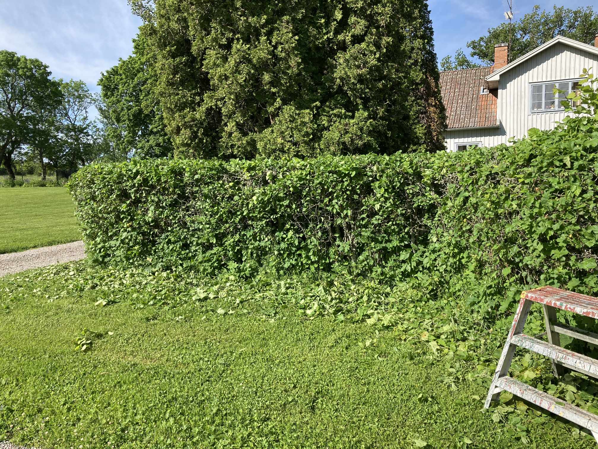 Farmartjänst Uppsala